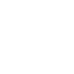 REBO